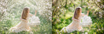 Load image into Gallery viewer, Spring In Bloom Collection-50% Off
