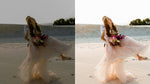 Load image into Gallery viewer, The Everything Bundle!
