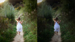 Load image into Gallery viewer, Emerald Noir Collection: 50% Off
