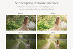 Load image into Gallery viewer, Spring In Bloom Collection-50% Off
