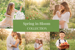 Load image into Gallery viewer, Spring In Bloom Collection-50% Off

